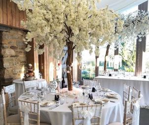 White Cherry Blossom Tree Wedding Centre Piece Hire in Cheshire