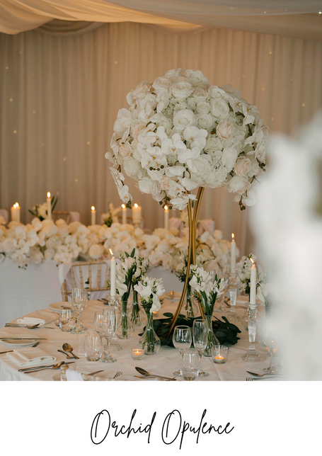White Elegant Orchid Wedding Centre Pieces to Hire in Manchester, Cheshire, North Wales, Liverpool & Merseyside