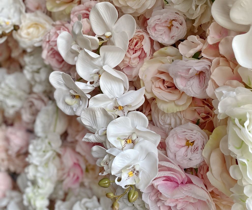 Pink and white wedding flower wall backdrop hire in Cheshire